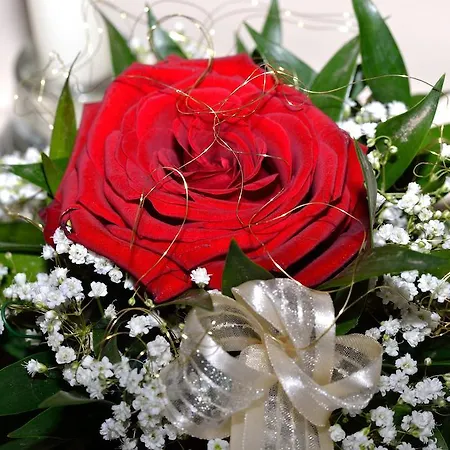 Anneliese Schwendt (Kaiserwinkl)